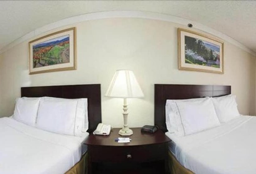 Holiday Inn Express Hotel & Suites Plainview, An Ihg
