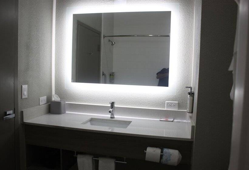 Holiday Inn Express Hotel & Suites Shamrock North By Ihg