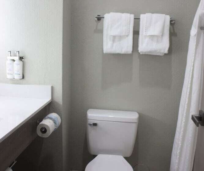 Holiday Inn Express Hotel & Suites Shamrock North By Ihg