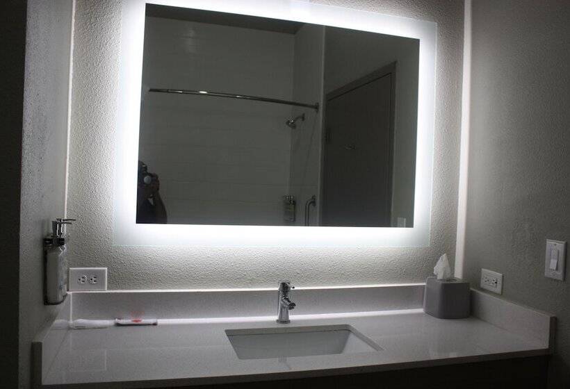 Holiday Inn Express Hotel & Suites Shamrock North By Ihg