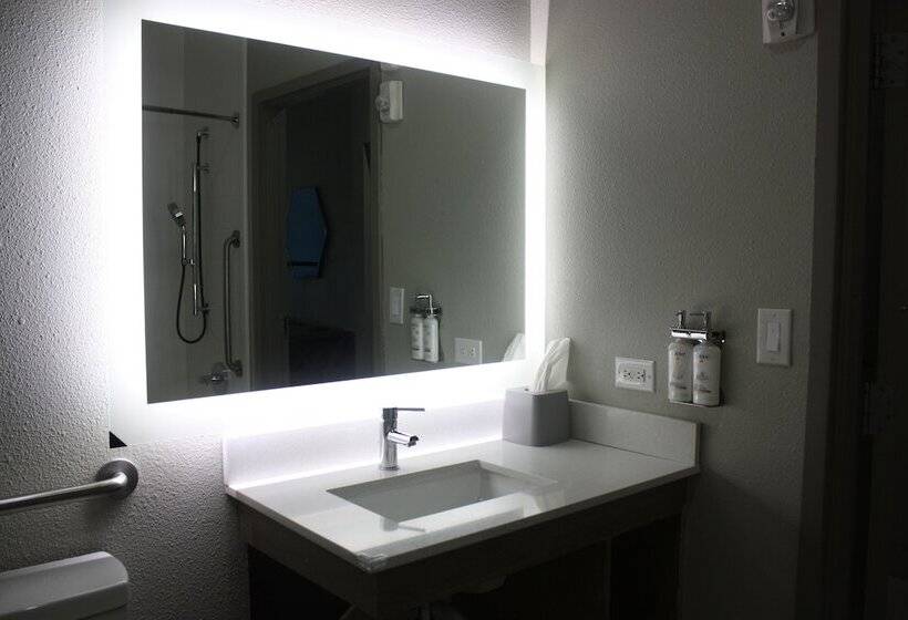 Holiday Inn Express Hotel & Suites Shamrock North By Ihg