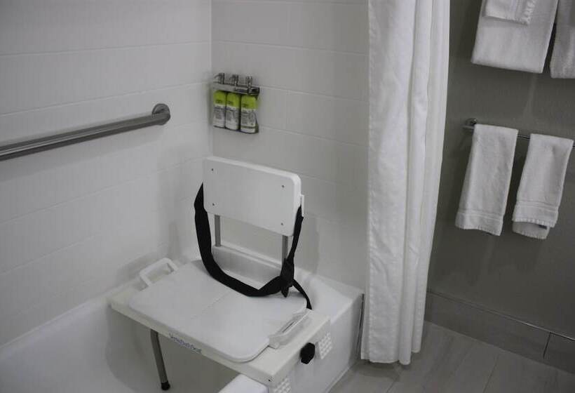 Holiday Inn Express Hotel & Suites Shamrock North By Ihg