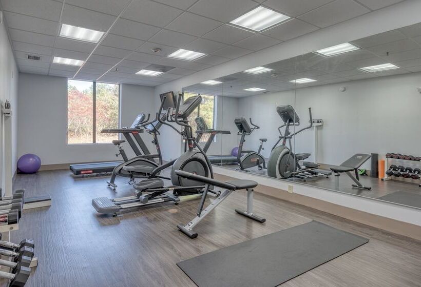 Holiday Inn Express Hotel & Suites Thornburg S. Fredericksburg, An Ihg