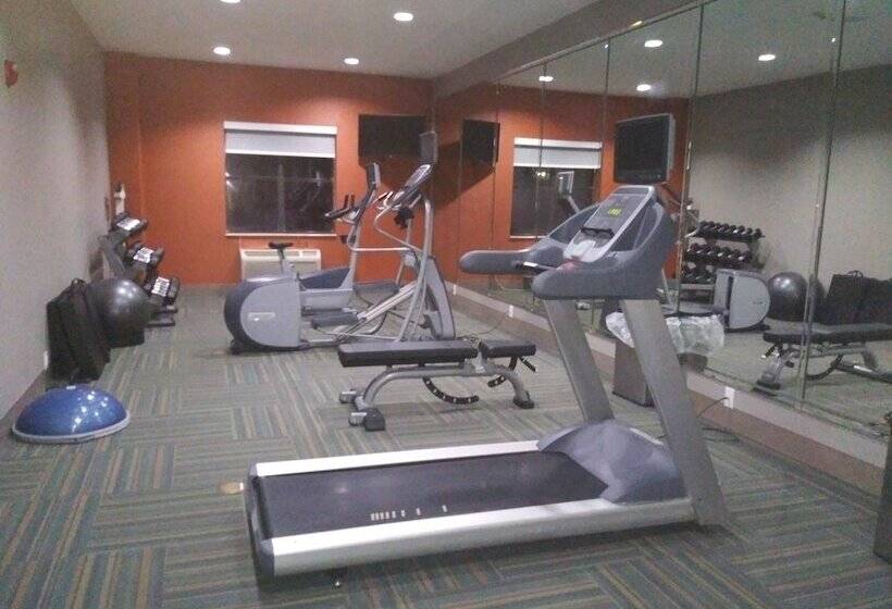 Holiday Inn Express Hotel & Suites Vidor South By Ihg