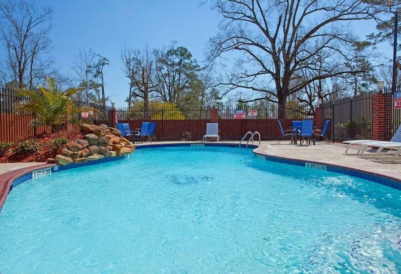 Holiday Inn Express Hotel & Suites Vidor South By Ihg