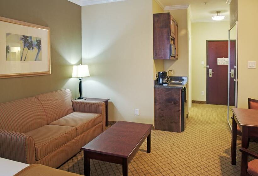Holiday Inn Express Hotel & Suites Winnie, An Ihg