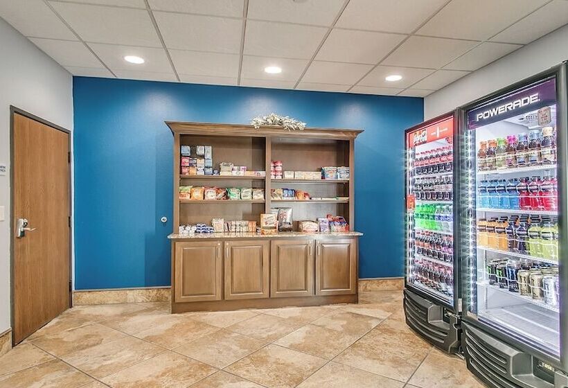 酒店 Holiday Inn Express & Suites Lubbock Southwest – Wolfforth, An Ihg