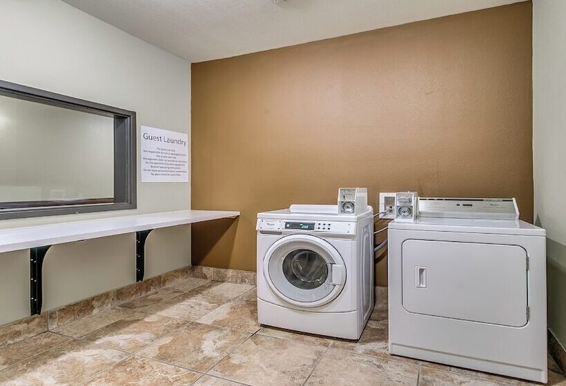 酒店 Holiday Inn Express & Suites Lubbock Southwest – Wolfforth, An Ihg