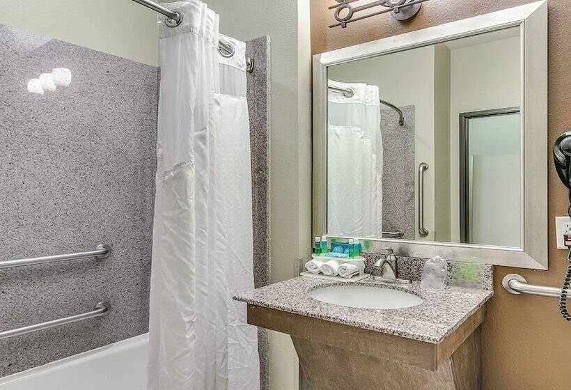 酒店 Holiday Inn Express & Suites Lubbock Southwest – Wolfforth, An Ihg