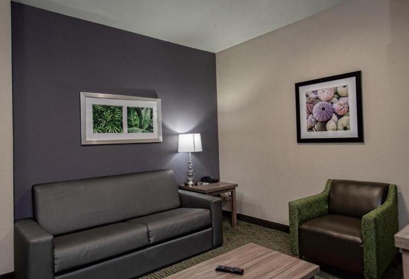 Holiday Inn Express Hotel And Suites Port Aransas/beach Area, An Ihg