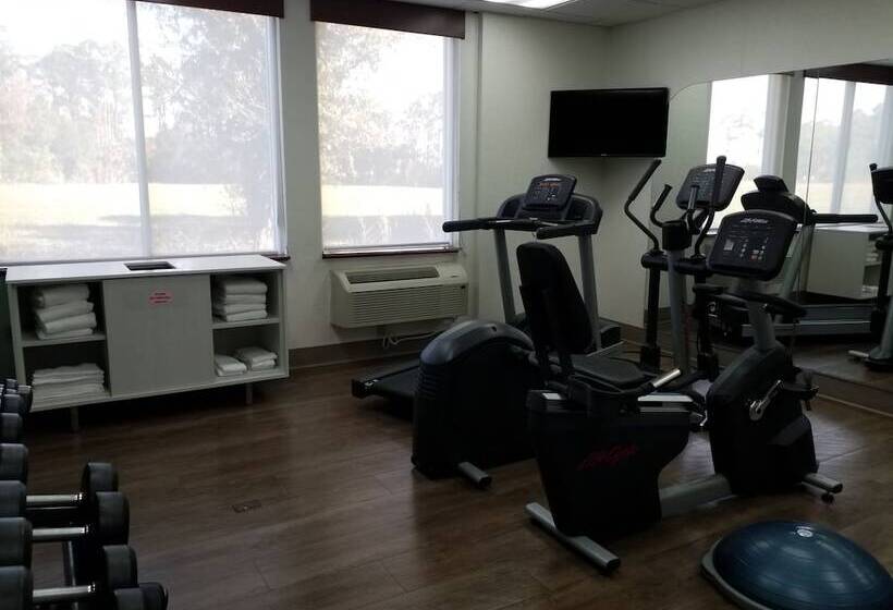 فندق Holiday Inn Express Daytona Beach   Speedway, An Ihg