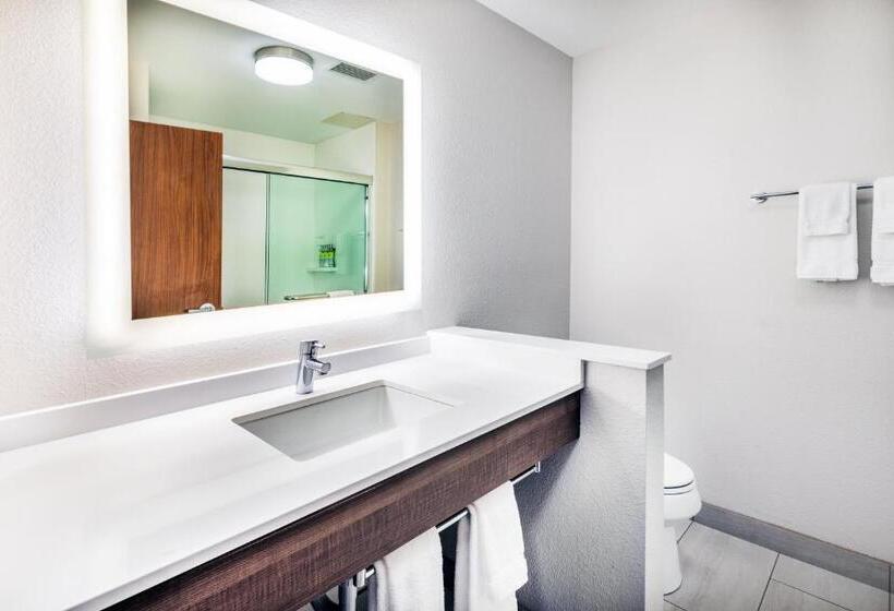 فندق Holiday Inn Express & Suites Ozona, An Ihg