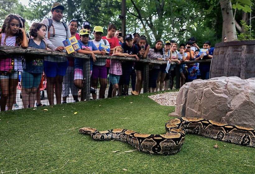 호텔 Holiday Inn Garland, An Ihg