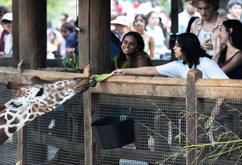 호텔 Holiday Inn Garland, An Ihg