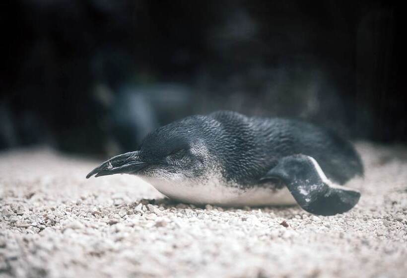 호텔 Holiday Inn Garland, An Ihg