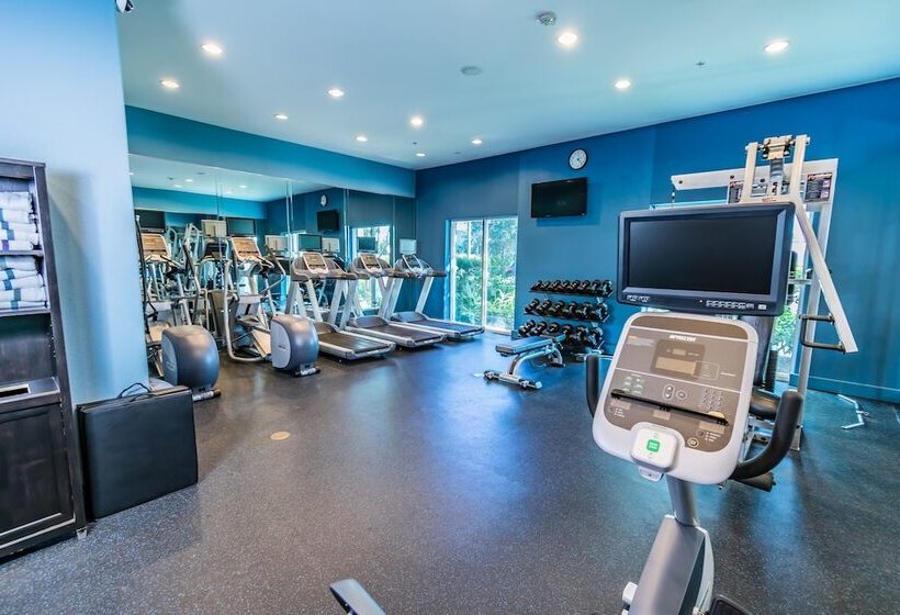 בית מלון כפרי Holiday Inn Houston Webster By Ihg