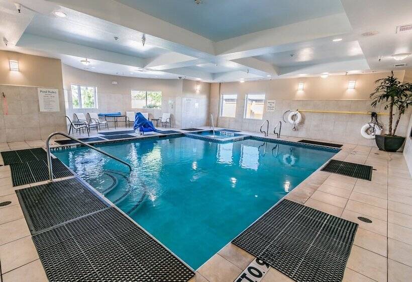 בית מלון כפרי Holiday Inn Houston Webster By Ihg