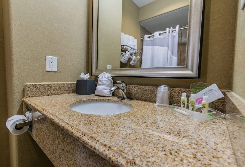 בית מלון כפרי Holiday Inn Houston Webster By Ihg