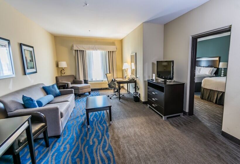 فندق Holiday Inn Houston Webster By Ihg