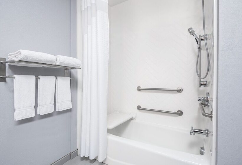 Отель Holiday Inn Odessa, An Ihg