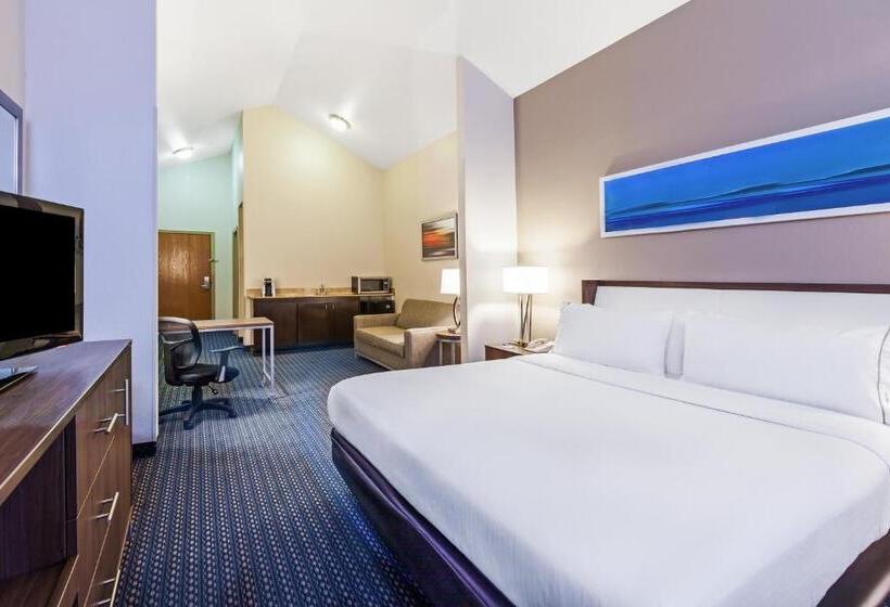 فندق Holiday Inn Express & Suites   Pharr, An Ihg