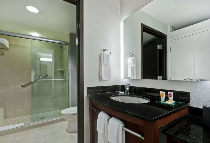 Отель Hyatt Place San Antonio North Stone Oak