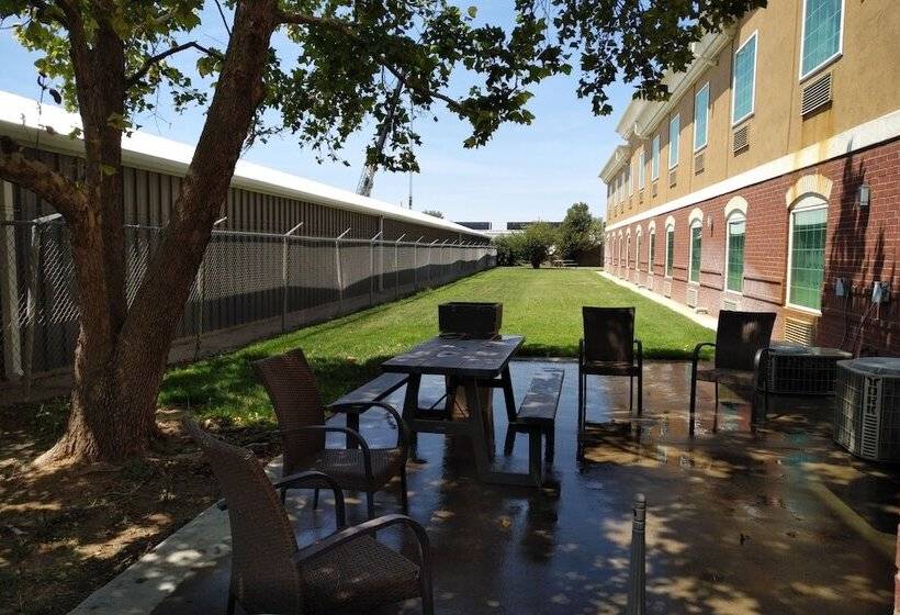 בית מלון כפרי La Quinta By Wyndham Dalhart