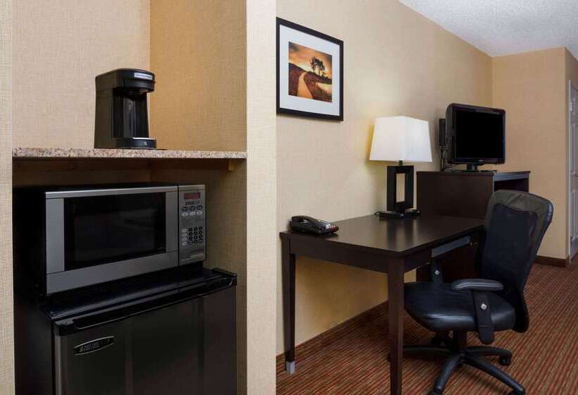 ホテル La Quinta By Wyndham Warner Robins   Robins Afb