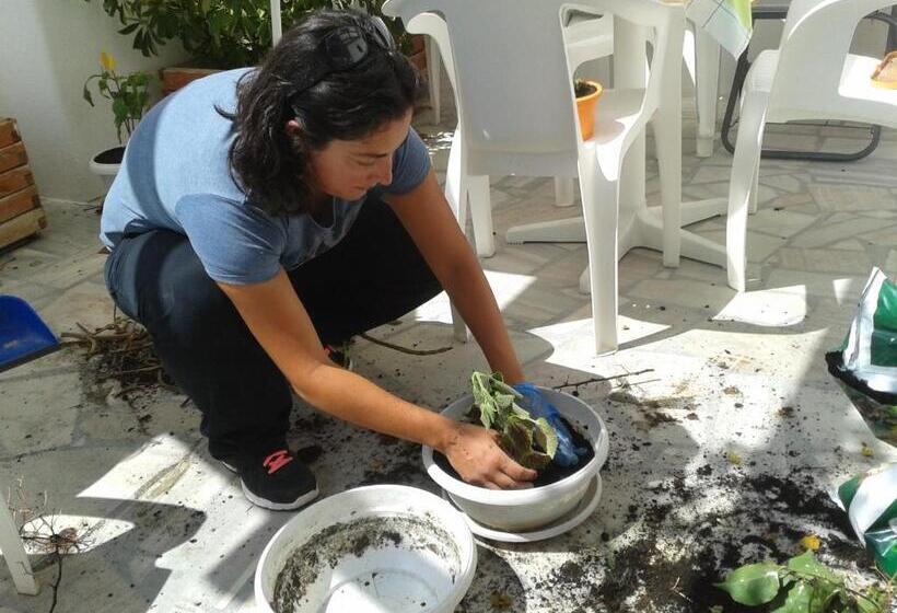 Отель Marisa Rooms