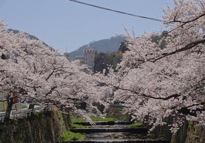 فندق Merveille Arima