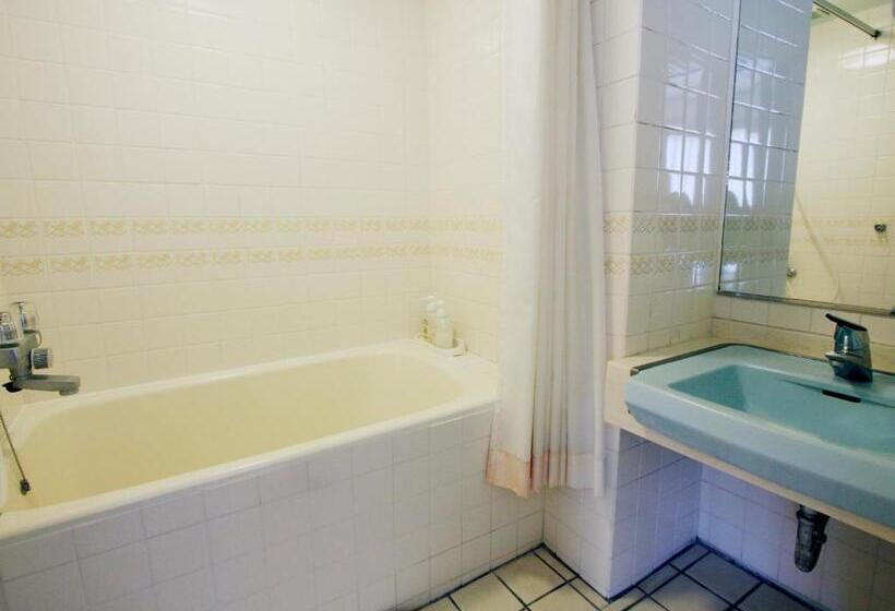 בית מלון כפרי Misasa Royal