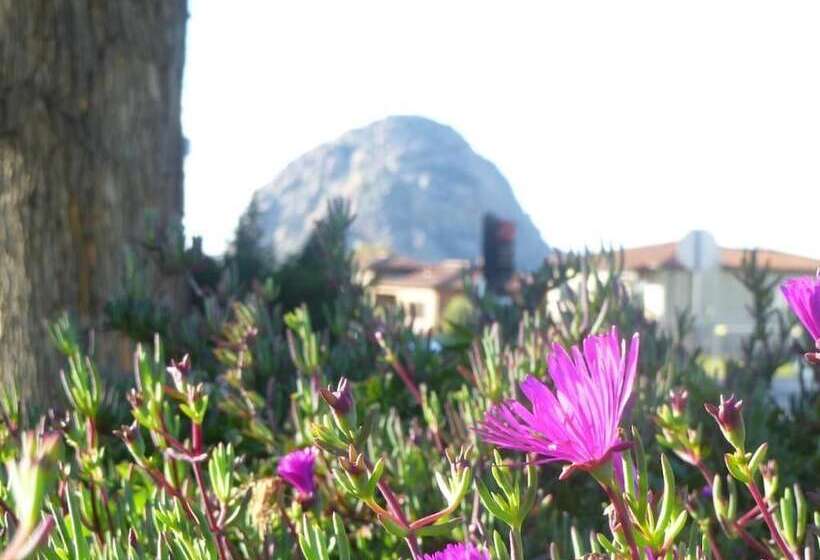 فندق Morro Bay Sandpiper Inn