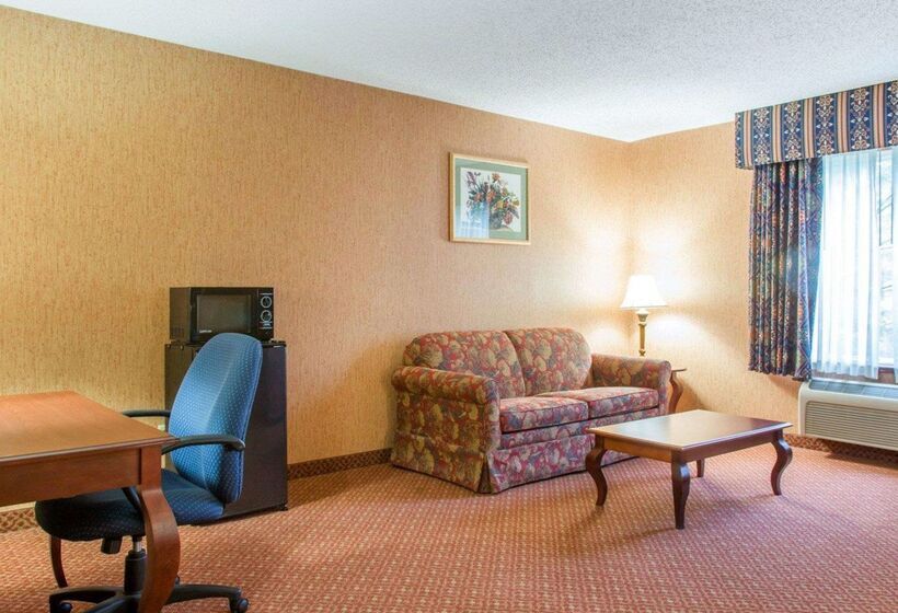 فندق Quality Inn & Suites