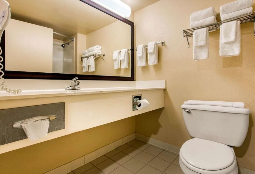 Отель Quality Inn & Suites