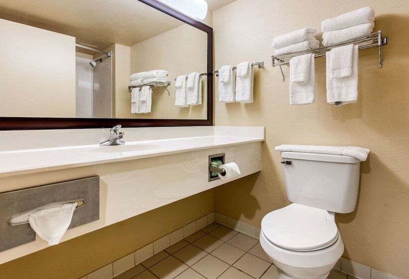 ホテル Quality Inn & Suites