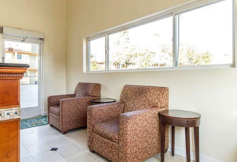 فندق Inn At University