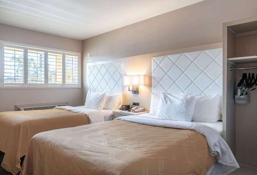 فندق Inn At University