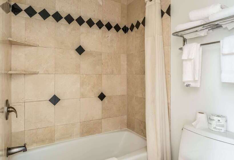 فندق Inn At University