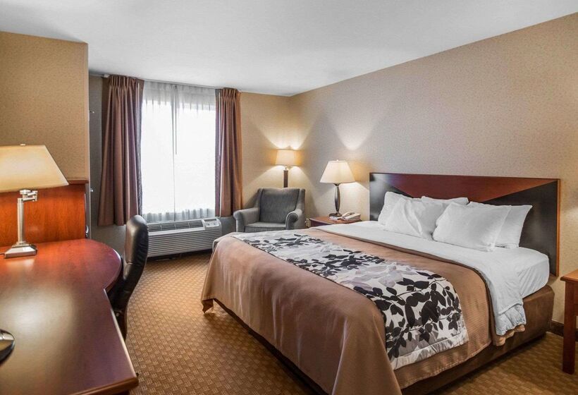 Отель Rodeway Inn & Suites