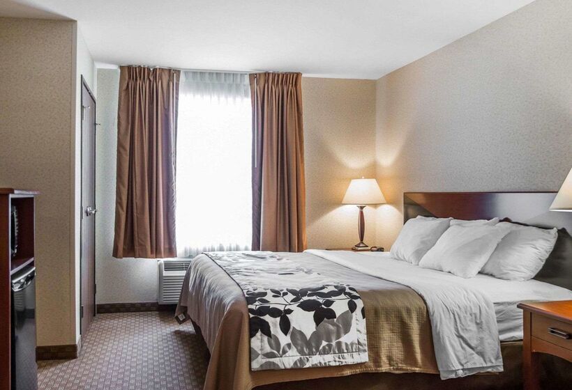 Отель Rodeway Inn & Suites