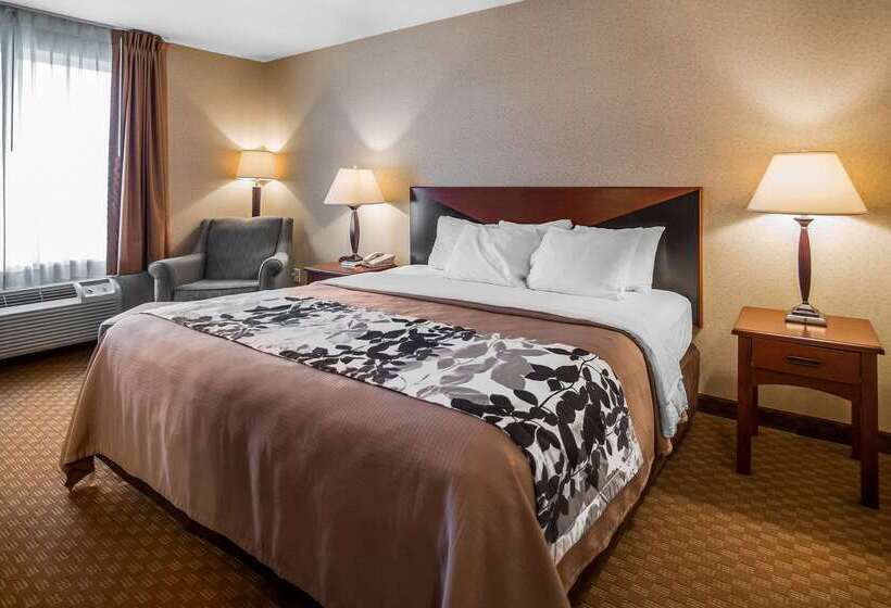 Отель Rodeway Inn & Suites