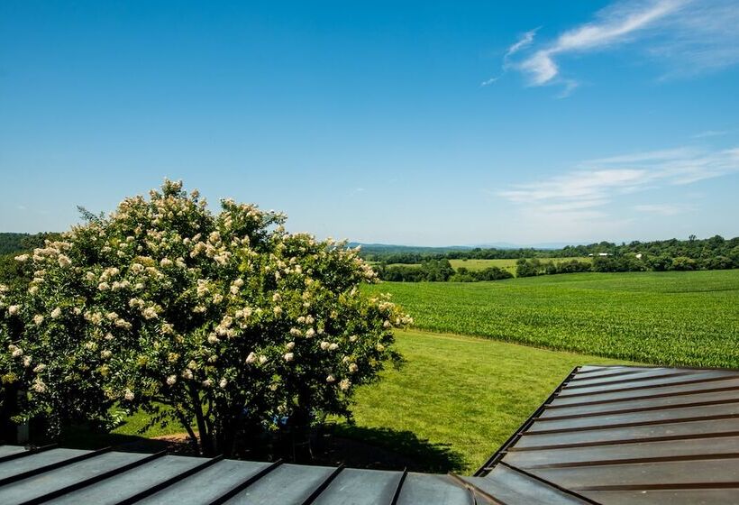 호텔 Round Hill Inn