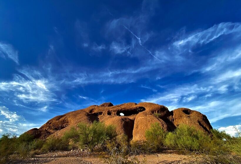 ホテル Scottsdale