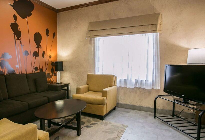 호텔 Sleep Inn & Suites Hwy 290 Nw Freeway