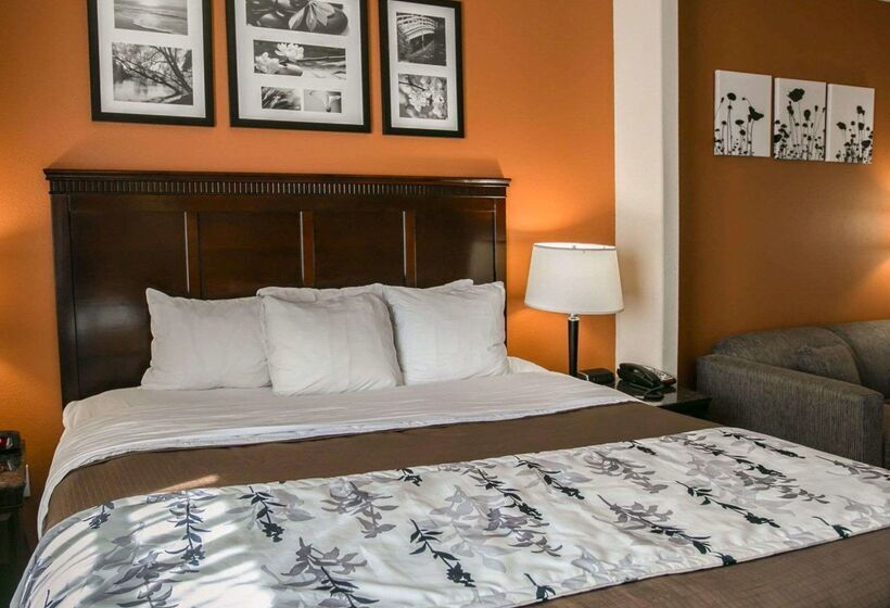 호텔 Sleep Inn & Suites Hwy 290 Nw Freeway