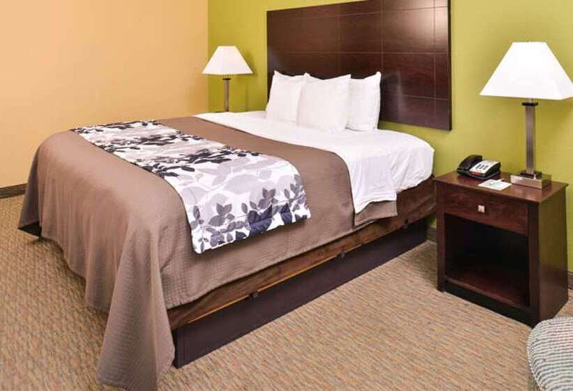 هتل Sleep Inn And Suites Downtown Houston