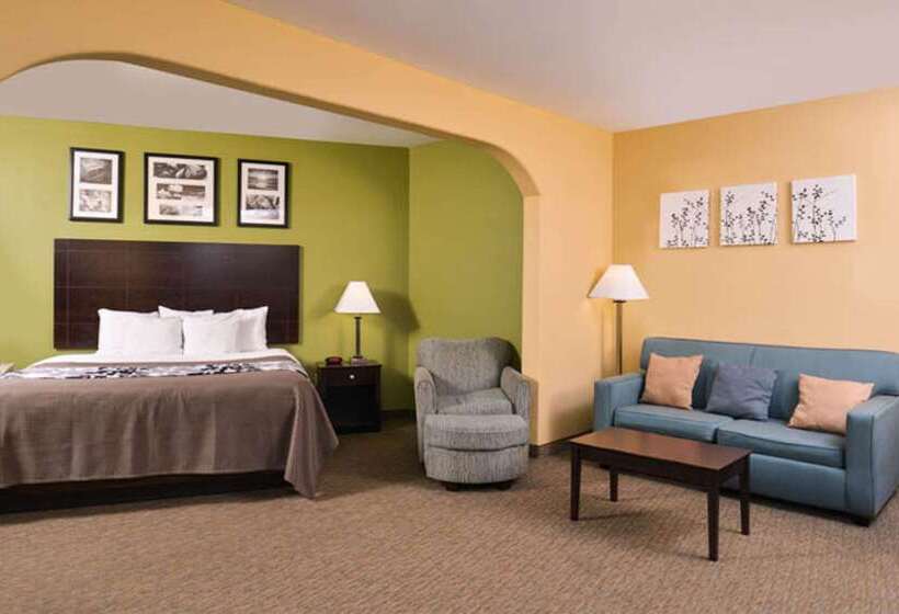 Отель Sleep Inn And Suites Downtown Houston