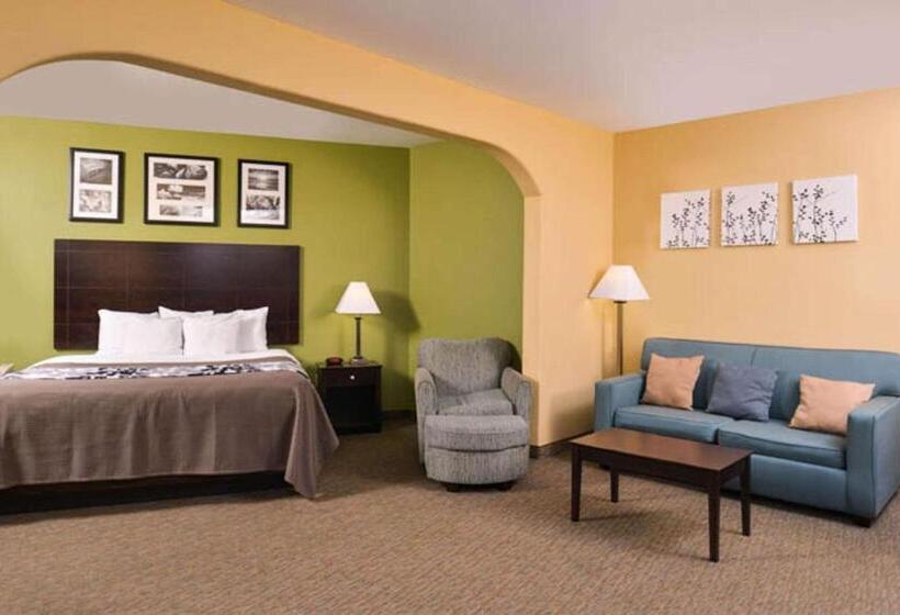 Отель Sleep Inn And Suites Downtown Houston