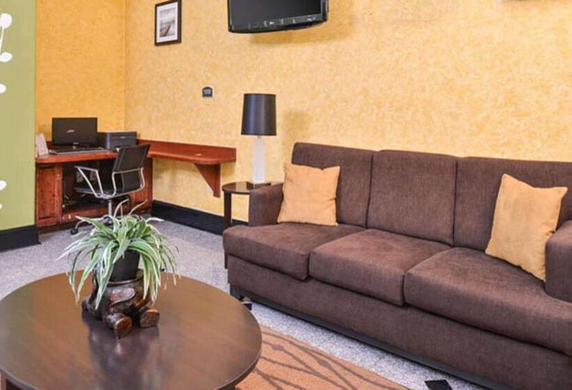 Отель Sleep Inn And Suites Downtown Houston