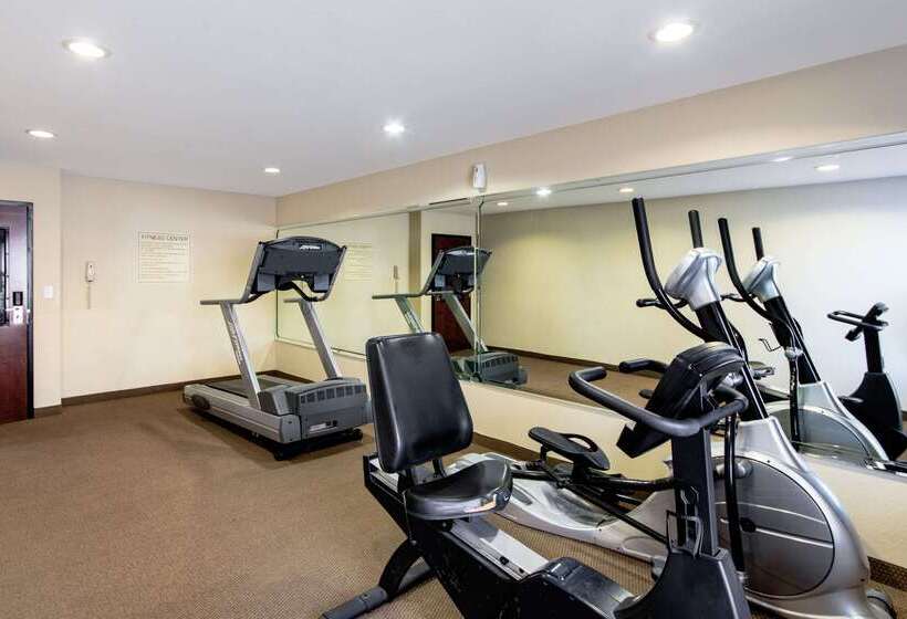 فندق Sleep Inn & Suites Near Fort Cavazos